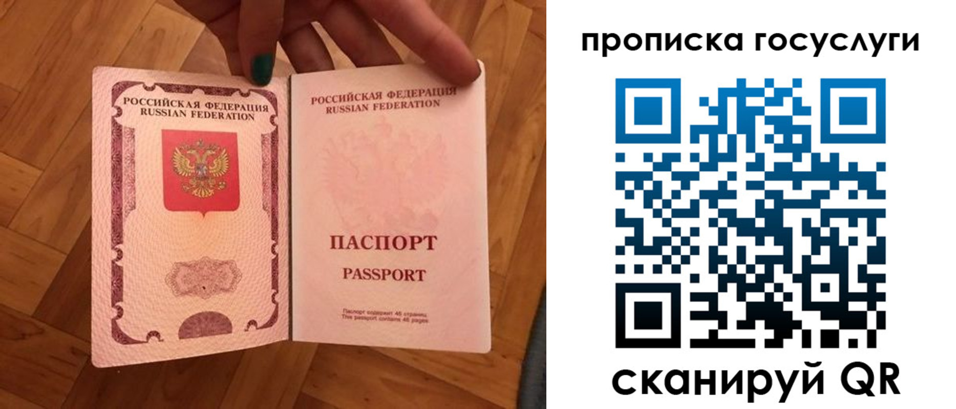 прописка в Курской области